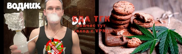 мет Алексин