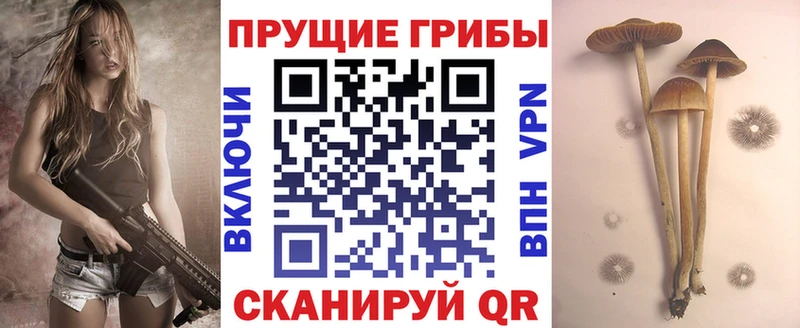 закладки маркетплейс Telegram Галлюциногенные грибы MAGIC MUSHROOMS Калтан